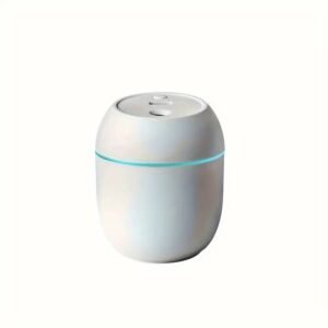 Portable Air Humidifier with LED Light